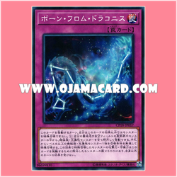 CP18-JP017 : Born from Draconis (Common)