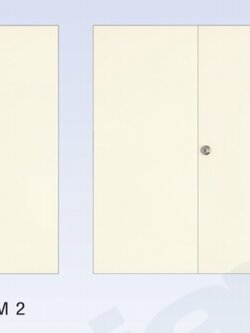 ประตูเหล็กไทย DM 2 ขนาด 90*200