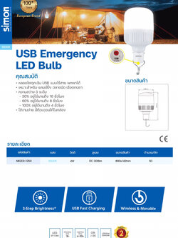 LED USB Bulb 4W