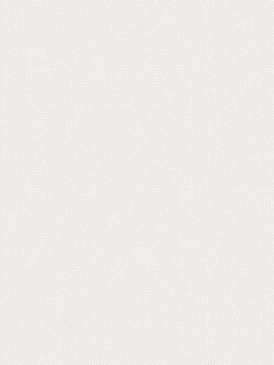 กระเบื้องไดนาสตี้ ลายสมายล์ (หน้ามัน) ขนาด 25*40