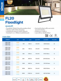 FL20 300W