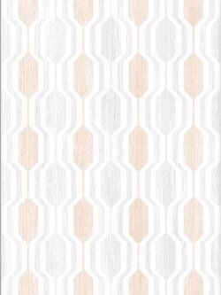 กระเบื้องไดนาสตี้ ลายริชเชอร์ เดคคอร์ (หน้ามัน) ขนาด 25*40