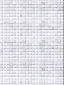 กระเบื้องไดนาสตี้ ลายฟ็อกกี้ (D) (หน้ามัน,โมล์ด) ขนาด 25*40