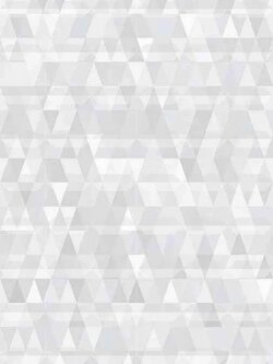 กระเบื้องไดนาสตี้ ลายสตาร์ควอร์ท (D) (หน้ามัน,โมล์ด) ขนาด 25*40