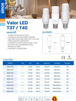 LED T45 13W