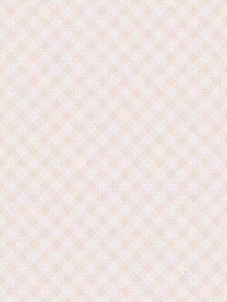 กระเบื้องไดนาสตี้ ลายสมายล์ เบจ (หน้ามัน) ขนาด 25*40