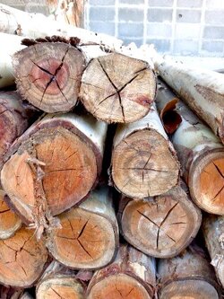 ไม้ยูคา 6 นิ้ว 8 เมตร ** ราคาส่ง* หากสั่งจำนวนน้อย รบกวนทักแชทสอบถามราคา