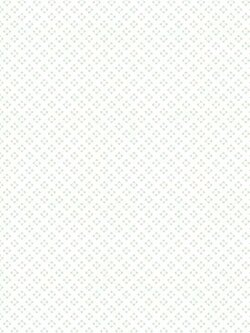 กระเบื้องไดนาสตี้ ลายอารีน่า กรีน (หน้ามัน) ขนาด 25*40