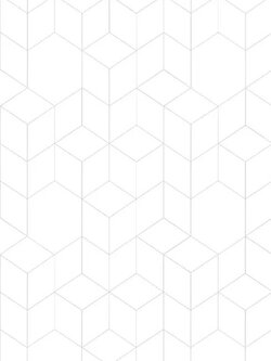 กระเบื้องไดนาสตี้ ลายจีโอ (หน้ามัน) ขนาด 25*40