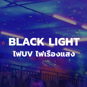 29.Black light ,ไฟ Black light