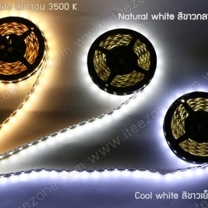 แบบสีเดียว (Single Color)