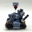 Metal Slug 1/35 SUPER VEHICLE-001 M.S. Evolve (Grey)