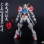 MG 1/100 Barbatos Lupus [Spidercrab]