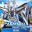 HG SEED 1/100 Akatsuki Gundam (Silver Ver.)