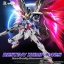 MG 1/100 Destiny Ver.MB + Wing Effect parts + Base [Momoko]