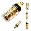 BIDINGPOST GOLD PLASTIC-B/BLACK