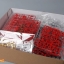 MG 1/100 (8807) Red Frame w/mars jacket [Daban]