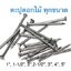 ตะปูตอกไม้