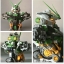 1/35 Astray Green Frame Head Display [Motor King]
