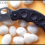 มีดซ้อมควง คารัมบิตไฟว์อีเลฟเว่น Five eleven Karambit Trainer knife TKKB333TR
