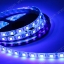 LED Strip เส้น ม้วน 5 เมตร Black light UV (กันน้ำ IP65)