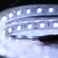 LED Strip เส้น ม้วน 5 เมตร สี Cool white 6500K ท่อซิลิโคน (กันน้ำ IP67)