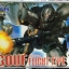 HG 1/144 Gouf Flight Type