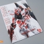 MG 1/100 (8807) Red Frame w/mars jacket [Daban]