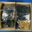 PG 1/60 Exia + Exia Model kit + LED + Avalanche parts + Repair parts [Daban]